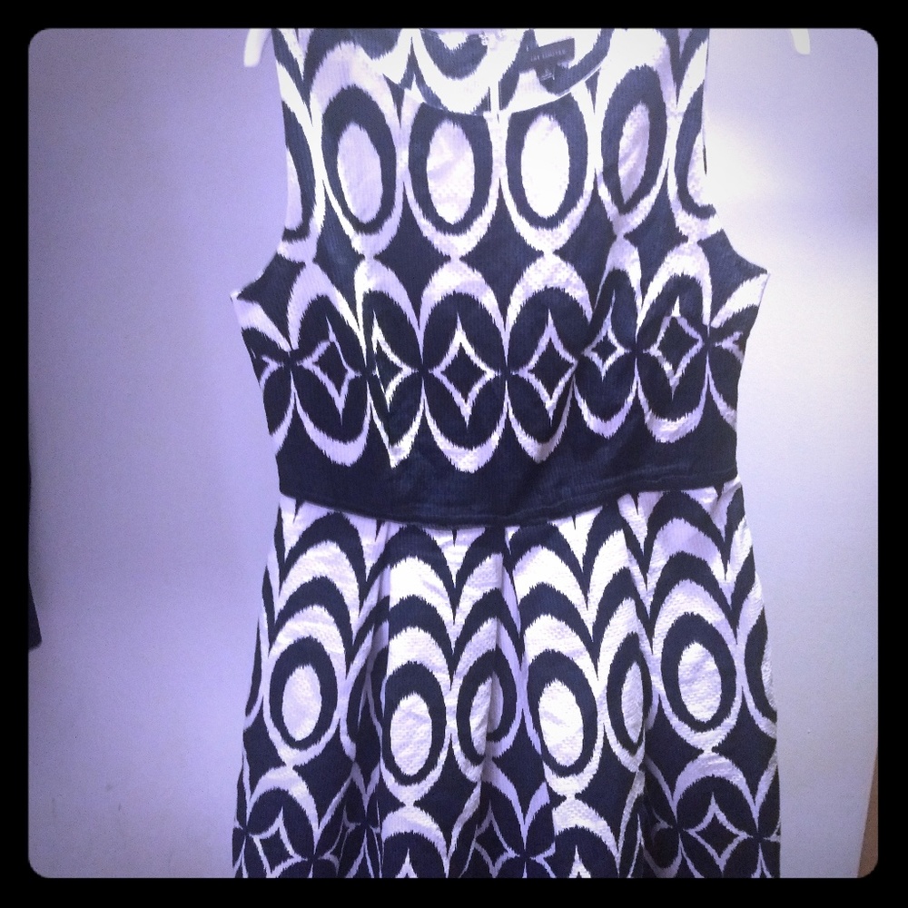 The Limited Navy and white formal dress